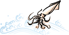 イカイラスト