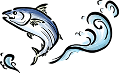 魚が跳ねるイラスト